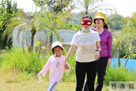 三八节活动方案