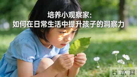 观察蚂蚁的作文300字