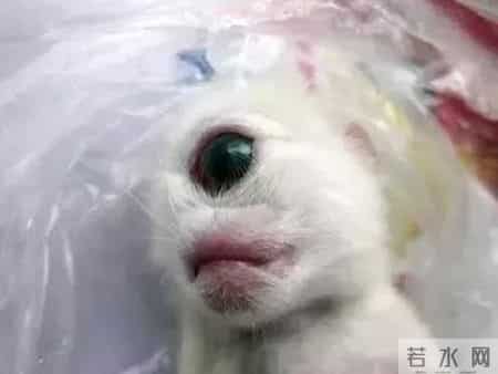 奇闻趣事,奇闻趣事分享