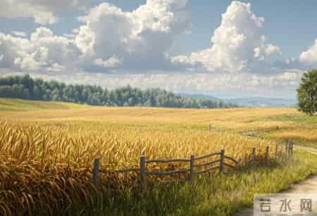 心情散文随笔,心情散文随笔600字