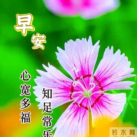 工作顺利的祝福语,今日清晨祝福早上好语句，优美祝福语吉祥话，愿你精神棒棒