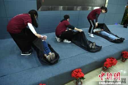 感受生命,感受生命的