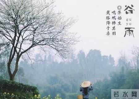 谷雨最美一首诗,雨生百谷，带你邂逅最美的谷雨诗词