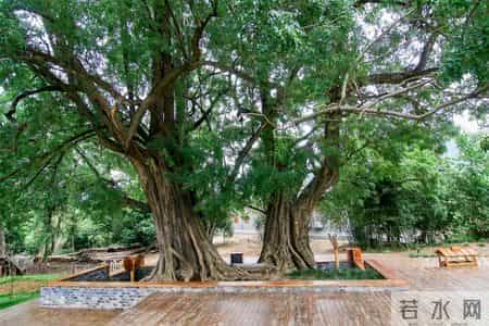 「出游好时节·遇见荆门」给你的心灵放个假，来荆门这些地方，寻觅田园诗意慢生活