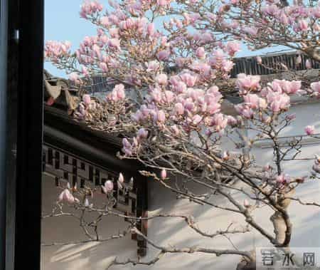 今日文案丨“落落大方的快乐短句文案”