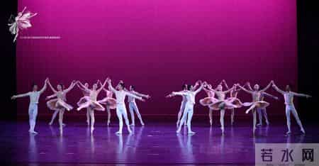 和老师的第一次亲密接触作文600字,二十年，一场芭蕾的坚持