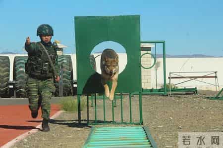 优秀班组事迹材料