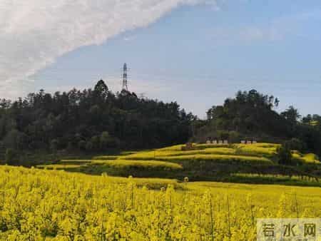 农村面貌改善两年后 光辉村的变与不变 - 看见幸福隆昌