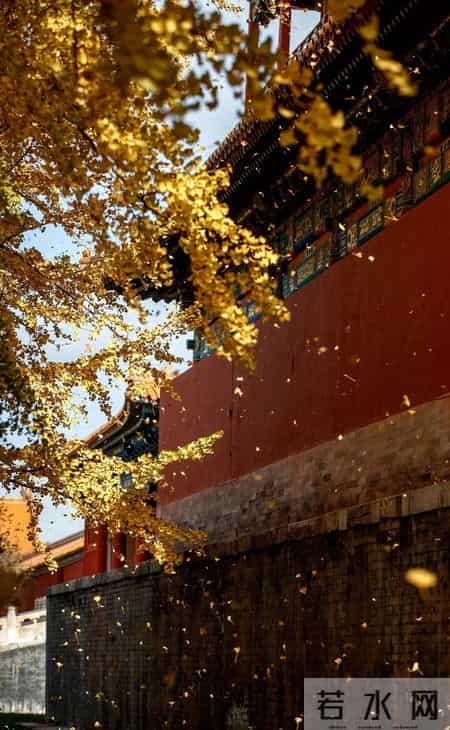 黯乡魂简介,黯乡魂的简介