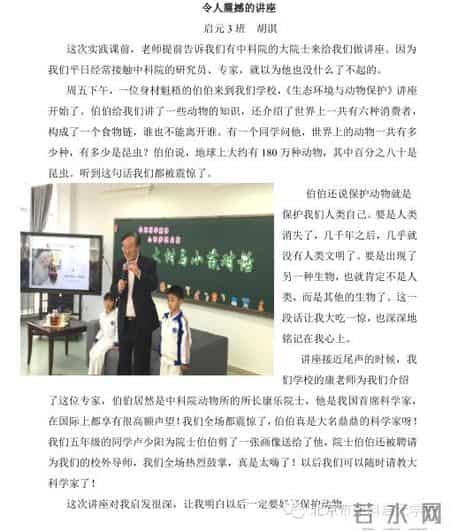 小苗与大树的对话教案,大树与小苗的对话