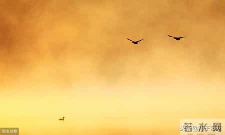 七绝《己亥立冬时节怀感》十二首