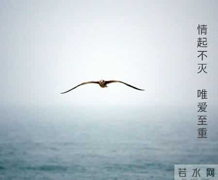 老人与海鸥教学实录,老人与海鸥课堂实录