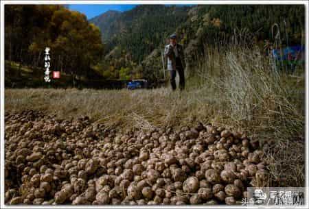 看！这幸福的百元大钞