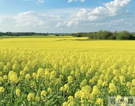 56首村居古诗，感受古代诗人笔下的乡村风光和田园诗意