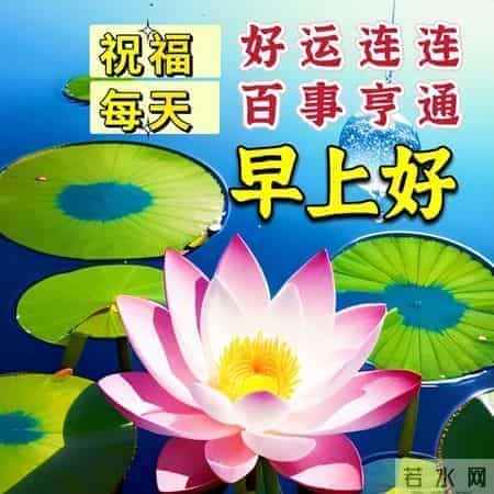 最新早上好祝福每天一句，早安暖心牵挂的句子，吉祥如意伴你左右