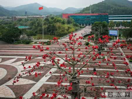 五桂山中山中专学校,探校｜在风景如画的中山中专读书，是一种怎样的体验？