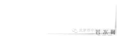 小苗与大树的对话教案,大树与小苗的对话