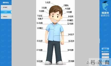 训练提高记忆力的5套方法教程,帮你全方位提高记忆力