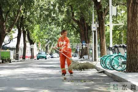 又现“扫地僧”！飙英语的环卫大姐火了