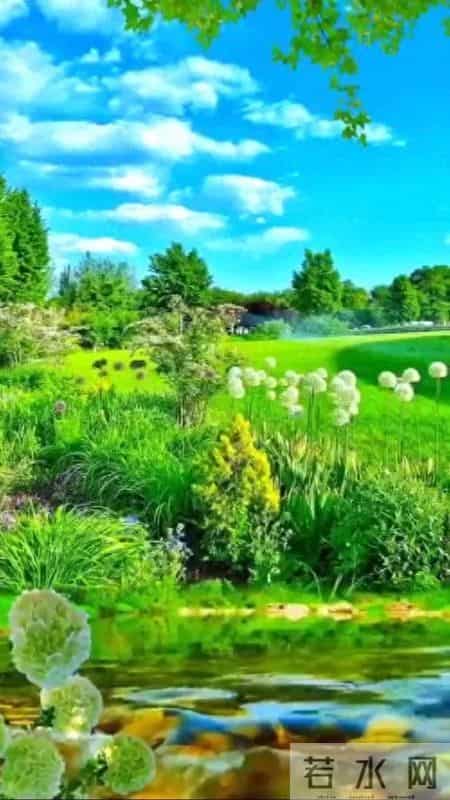 经典抒情散文,抒情散文大全100首