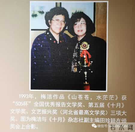 楼兰的忧郁读后感,乡情悠悠寄芳华