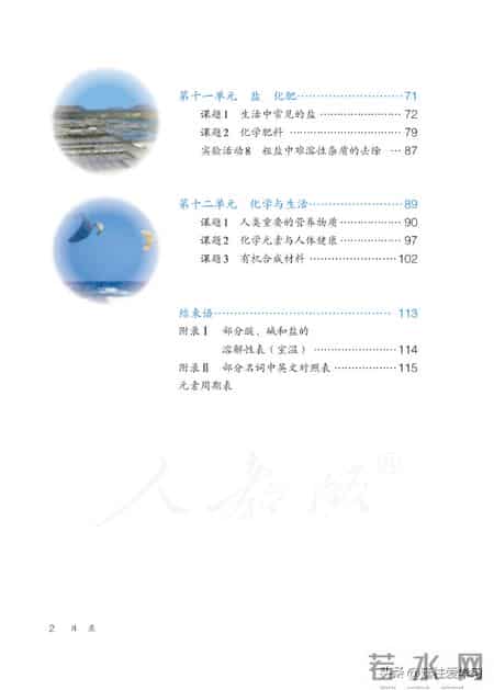 九年级下册化学,【化学九年级下册】电子版