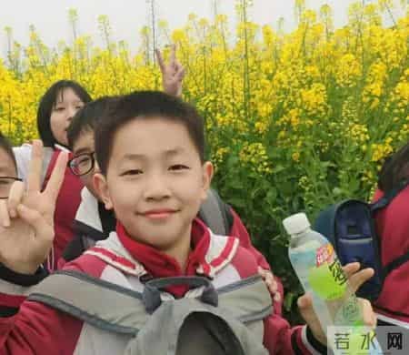 春天的课堂,赏春. 品春. 惜春 ——走进“春天的课堂”