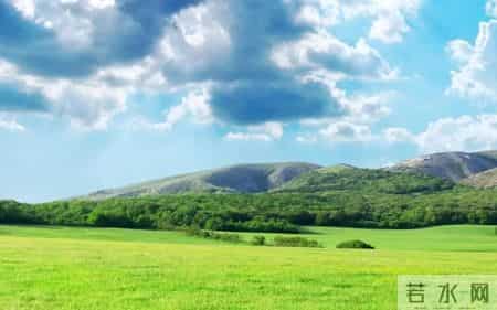 五年级作文450字