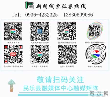 信息技术教学总结