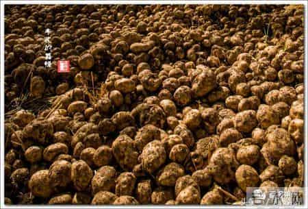 看！这幸福的百元大钞