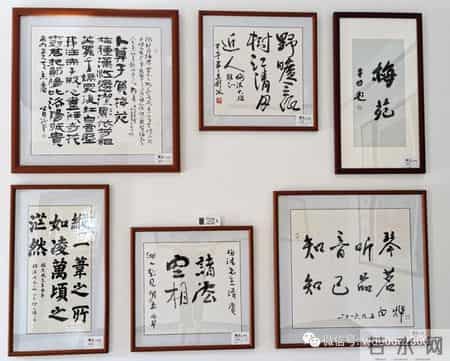 楼兰的忧郁读后感,乡情悠悠寄芳华