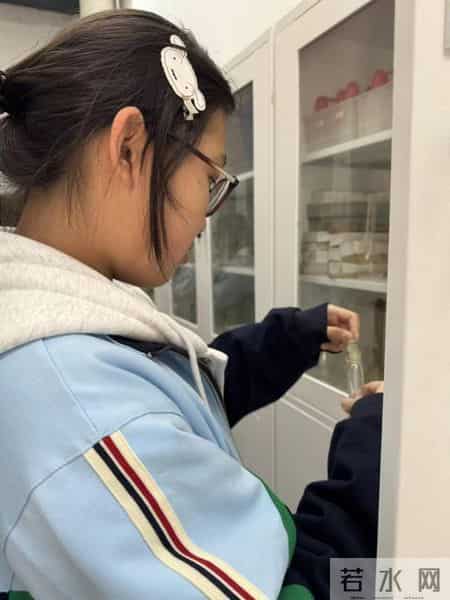 文学社活动计划