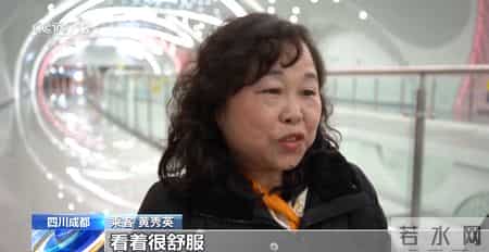 写景,小桥流水、梅花初绽、海天一色 被地铁口的景色美到了