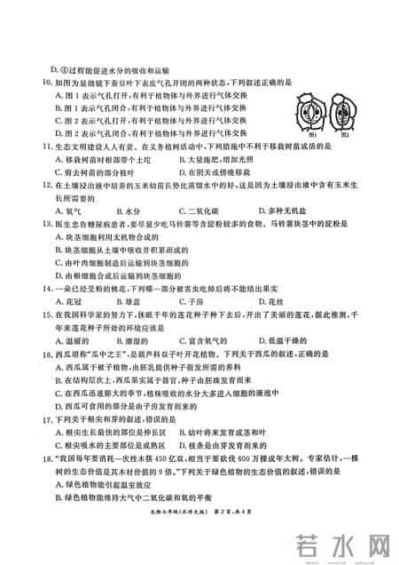 七年级生物下册期末试卷,七年级生物下册期末试卷带答案
