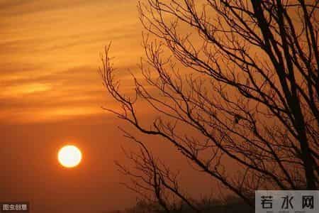 「佳作」灵魂知己，可遇不可求