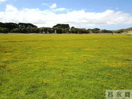 探秘委内瑞拉：小众景点的别样魅力