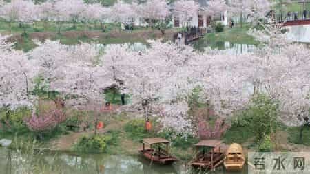 「出游好时节·遇见荆门」给你的心灵放个假，来荆门这些地方，寻觅田园诗意慢生活