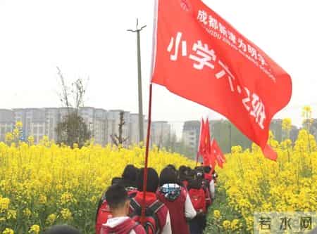 春天的课堂,赏春. 品春. 惜春 ——走进“春天的课堂”