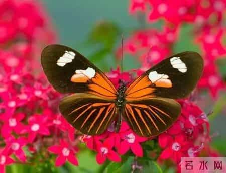 体育教师个人总结,体育教师个人总结年度个人总结范文