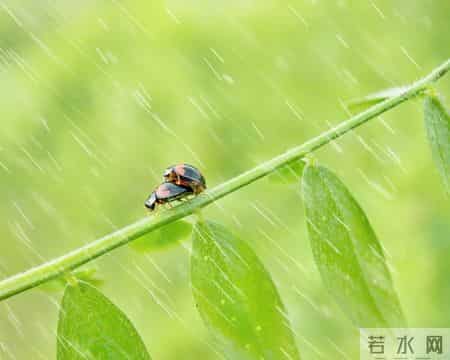 我们都是这样长大的,我们都是这样长大的歌曲