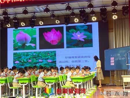 刘集实验小学：兰靖老师研讨课《爬山虎的脚》