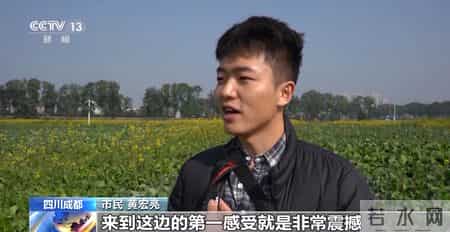 写景,小桥流水、梅花初绽、海天一色 被地铁口的景色美到了