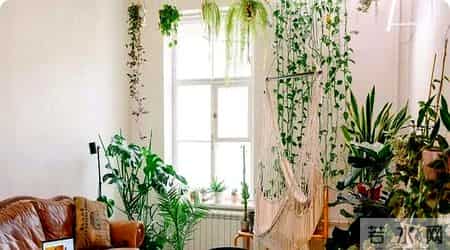 梦见死人笑,梦见死人笑是吉兆还是凶兆