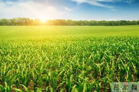 我想起小学年代的经典作文题目《上学路上》