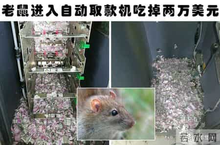 趣闻趣事,趣闻趣事分享视频