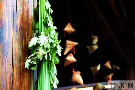 端午节好句好段摘抄大全,端午节的好词好句好段大全