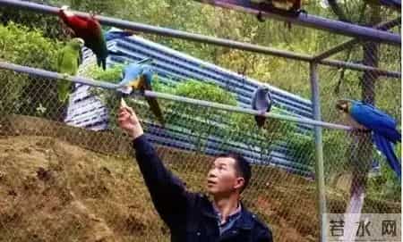 动物园奇遇记,“动物园”奇遇记！今晚的故事不一般