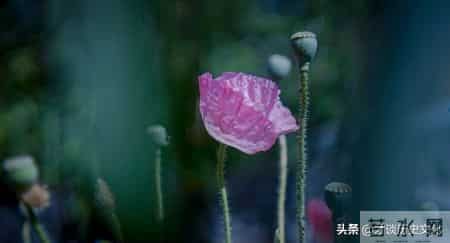 人物性格品鉴：勇猛刚强者，戒于太暴，你是这样的性格吗？