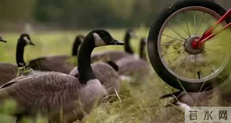 综合实践课,综合实践活动课程