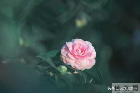 怎样做人,为人处世大全，建议收藏